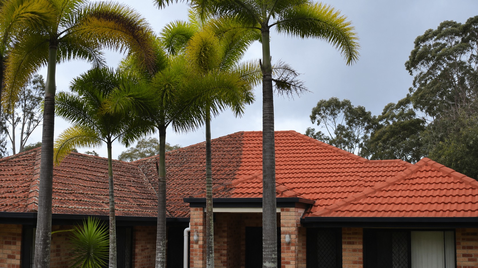 Roof clean — Park Ridge South
